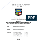 EIA - Práctica 1 - Análisis Del Marco Jurídico Administrativo de La EIA en El Perú