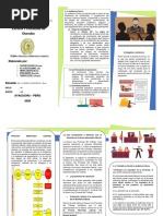 TRIPTICO DE PROCESO ABREVIADO LABORAL Modificado