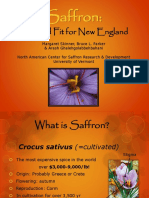 Saffronism Information