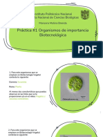 Práctica 1 Organismos de Importancia Biotecnológica