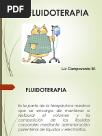 Fluidoterapia: Liz Campoverde M