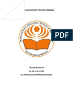 Makalah Anatomi Fisiologi Digesti, Hepar, Urinary, Reproduksi Dan Limfa-Dikonversi-Dikompresi