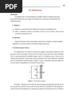 Experimento 8 - Pêndulo Físico