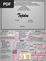 Mapa Mental Tejidos