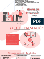 Niveles de Prevencion