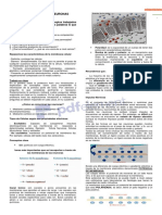 File 22571 Tarea11542 GUIA