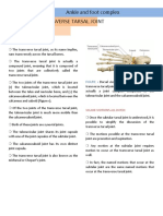 Ankle and Foot Complex Contd.