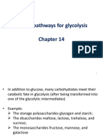 Feeder Pathways For Glycolysis