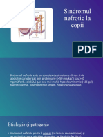 Sindromul Nefrotic La Copii