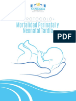 Protocolo Mortalidad Perinatal