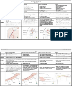 Dr. A. Samy TAG Surgical Approaches - 1