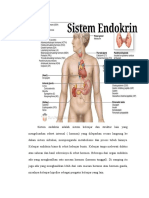 Anatomi Fisiologi Sistem Endokrin