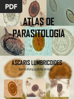 Atlas de Parasitologia