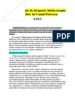 Ultima Noapte de Dragoste, Întâia Noapte de Război de Camil Petrescu - ESEU