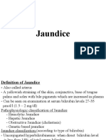 5 - Jaundice