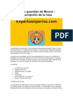 Perro Guardián de Moscú - Descripción de La Raza