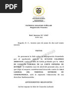 Pautas para El Desarollo de La Audienica de Imposición de Medida de Aseguramiento T 1065