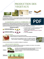 2 - La Reproduction Des Végétaux-1 - 9