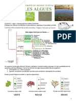 3 - Les Algues-1 - 10