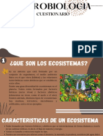 Grupo N°7-Ecosistemas