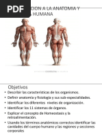 Anatomofisiologia Humana