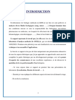 Rapport de Stage DR Guella - 210412 - 115530