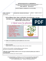 TALLER N 5 Ciencias Naturales