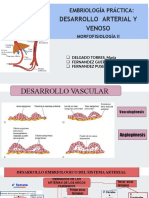 Desarrollo Vascular