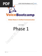 CCIE VOICE Workbook Version 3 (Full)