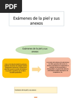 Exámenes de La Piel y Sus Anexos