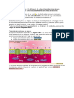 Resumen Examen Neurofisio