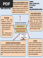 Últimos Años de La Democracia Representativa