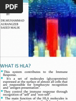 Hla Tissue Typing