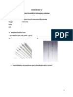 WORKSHEET 2 Dan 3 Praktikum Bioteknologi Farmasi