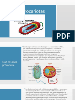 Células Procariotas