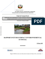 Rapport D Etude D Impact Environnemental Et Social