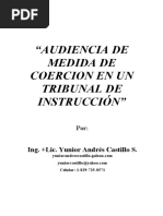 Audiencia de Medida de Coerción en Un Tribunal de Instrucción