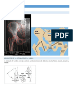 Clase Técnica Radiológica Rayos X Pelvis Parte 1