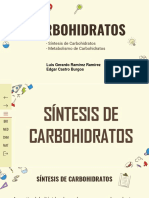 CARBOHIDRATOS