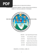 Principios Constitucionales Que Rigen La Actividad Financiera Del Estado de Guatemala - Trabajo Grupal