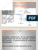 Bioquimica Degradacion