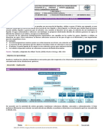 11º Guía 1 Química P1