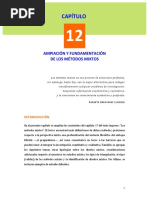 Ampliación y Fundamentación de Los Métodos Mixtos