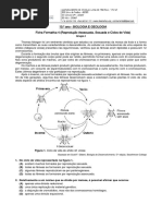 Ficha Formativa 4