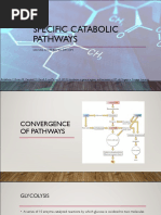 MC2 Lec11 Catabolic Pathways