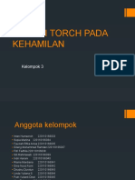 Infeksi Torch Pada Kehamilan