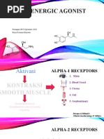 Adrenergic Agonist: Persiapan CBT September 2020 Bimo Kusumo Bhirowo