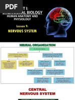 Ho - Unit 1 - L9 Human Anatomy - Nervous System