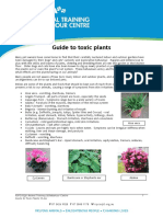 Guide To Toxic Plants 12