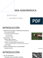 Pasteurelosis Neumonica Bovina Septicemi